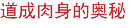 道成肉身的奥秘
